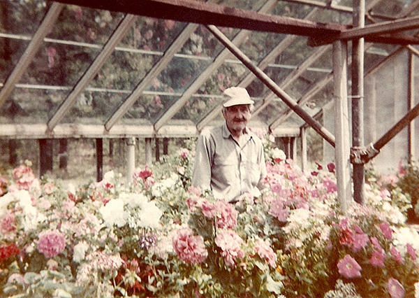 Max Finley Sr in his Gwinn, MI greenhouse, circa 1950s