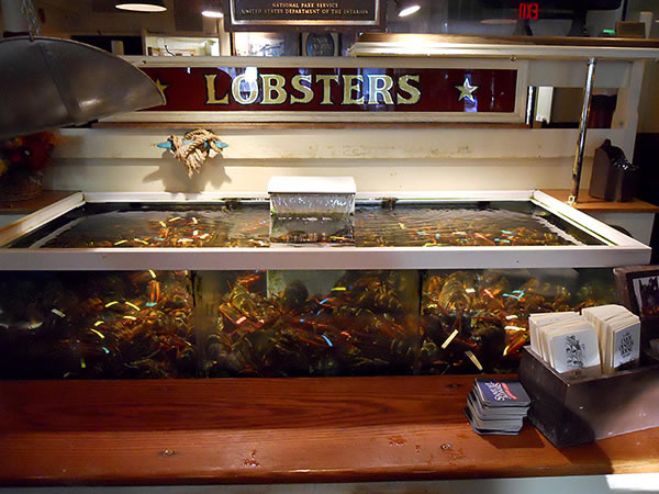 lobster tank at Boston's Union Oyster House